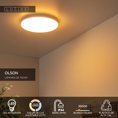 Lucide OLSON - Lámpara de techo Baño - Ø 29 cm - LED - CCT - 1x24W 3000K/6500K - IP44 - Ópalo